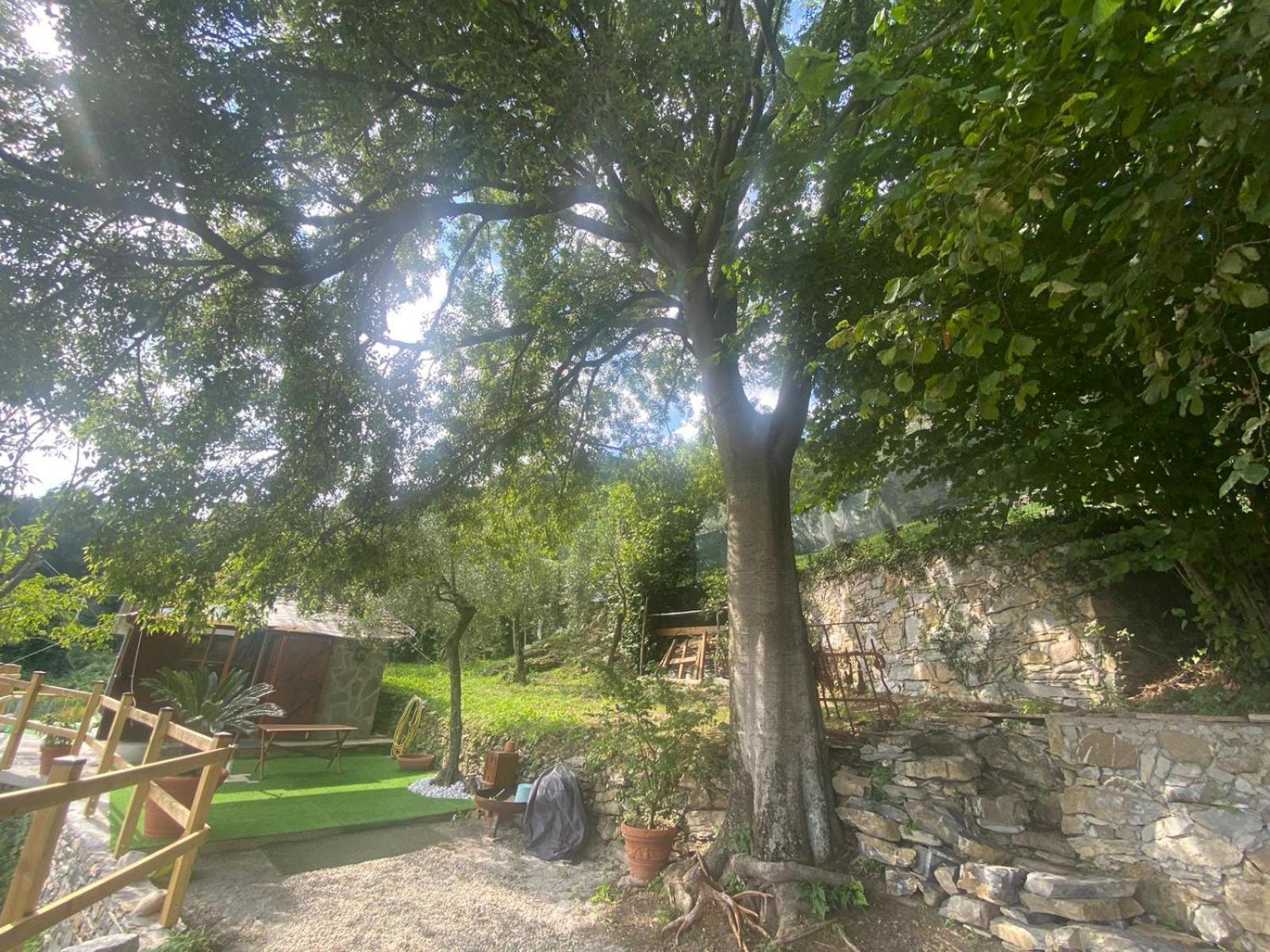 Ferienwohnung La Sosta Al Bagolaro Rapallo Exterior foto